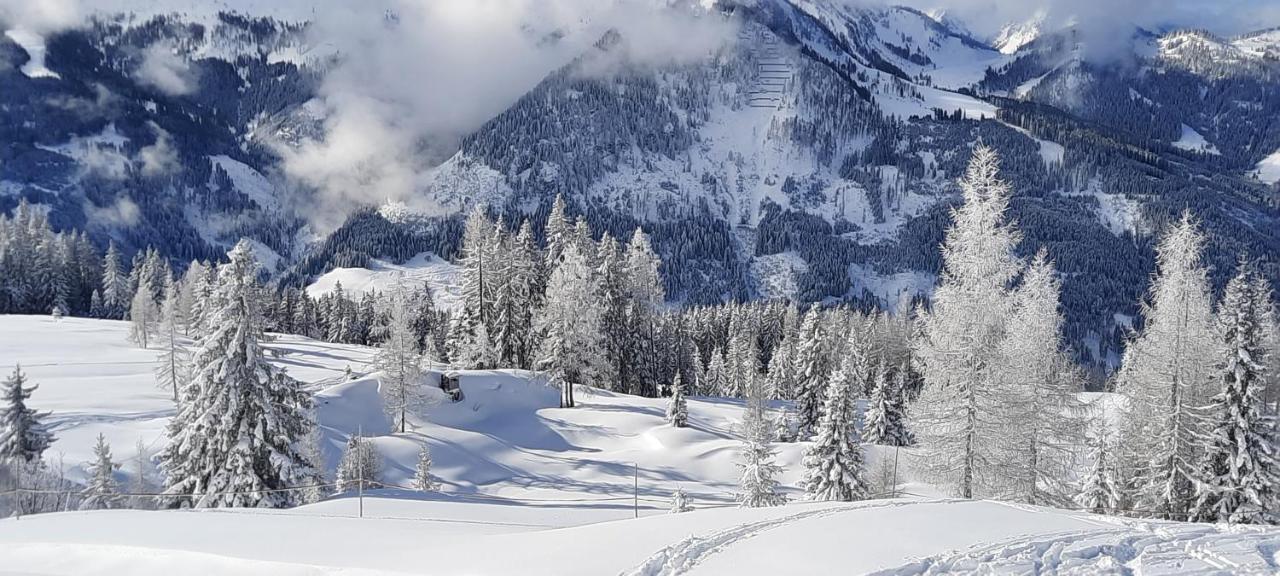 Chalet Auhof Flachau Exteriér fotografie
